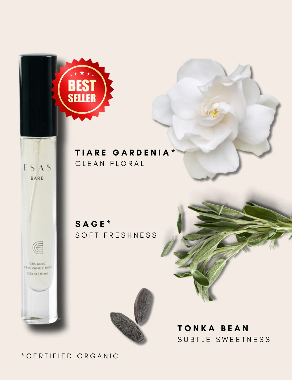 Bare Fragrance