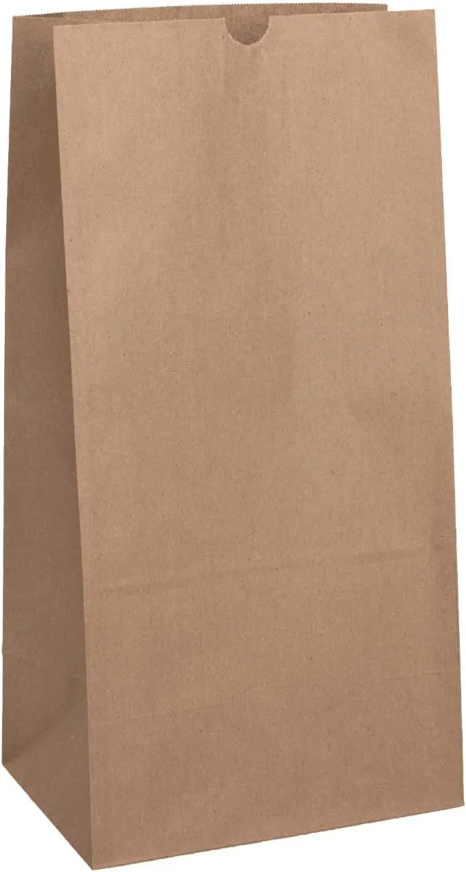 Karat 20lb Paper Lunch Bags - Kraft, 500 Count - Versatile Paper Lunch Bags for Food or Commodities - Sturdy, Self-Standing, Reusable