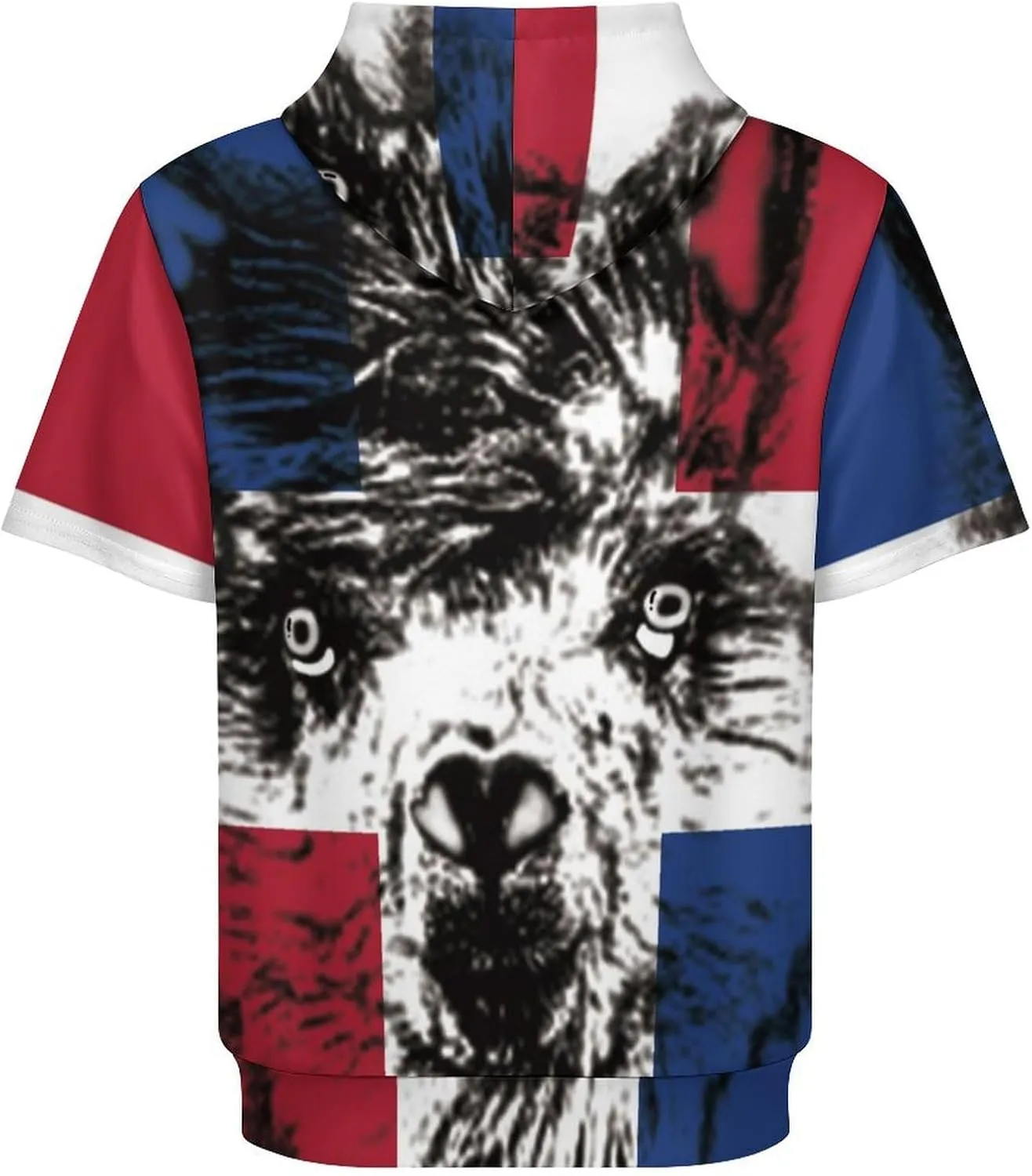 TAIZIYEAH Puerto Rico Flag-Frog Short Sleeved Hoodie Mens Short Sleeve Hoodie Sweatshirts Drawstring Pullover Unique