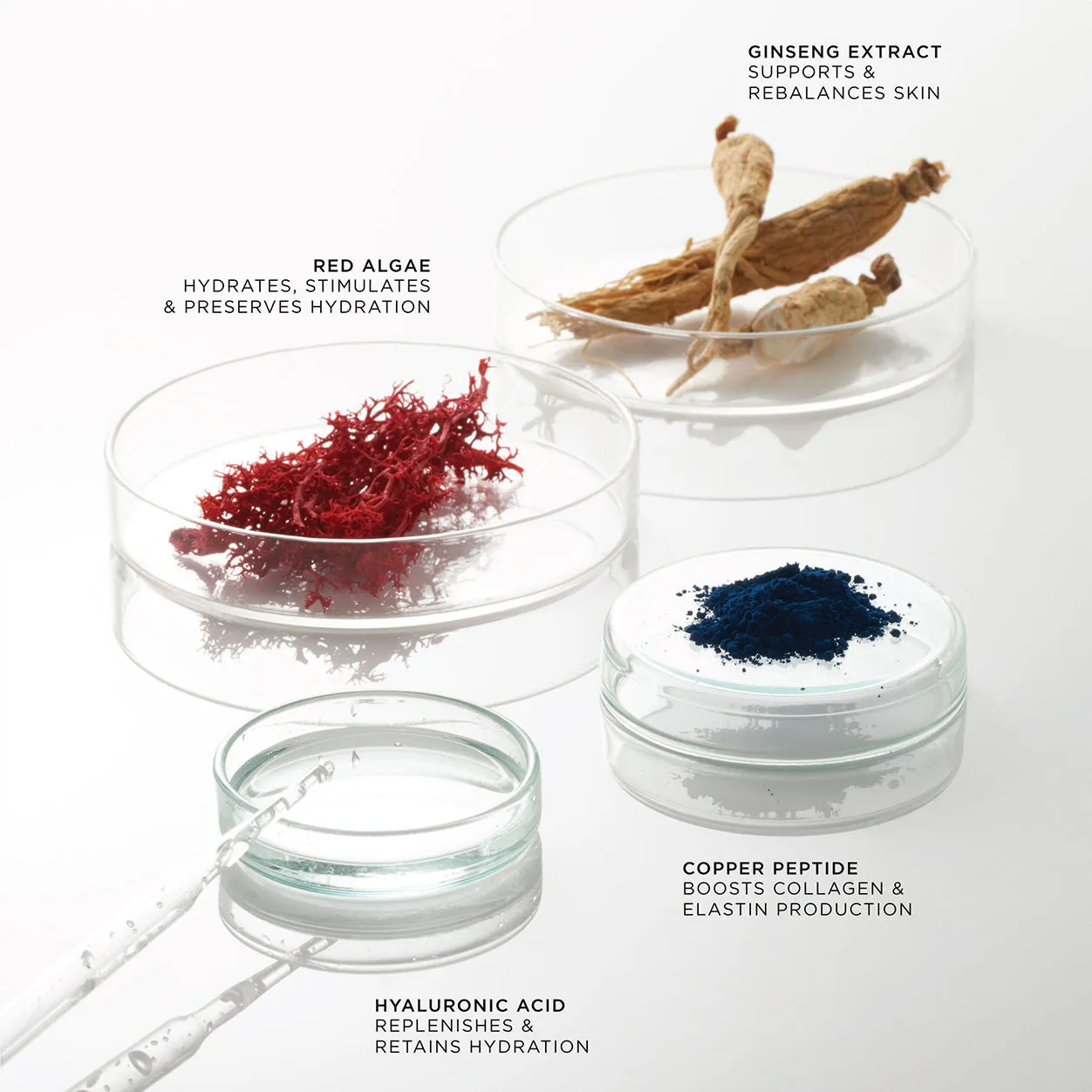 THE ELEMENTAL Hydrating Preparation Essence